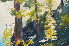 Mountain Side Pines, Sandra Mathiesen