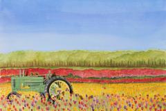 Tulips and Tractor, Chris Harper Triplett
