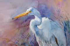 Great Egret , Colleen Reynolds, 3rd place tie