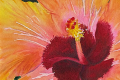 Watercolor Flowers, Barbara Schneider